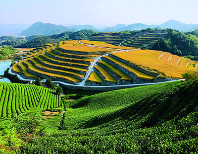 Developing agriculture with sand